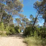 Rural Du Mas De Coste * Cannes-et-Clairan