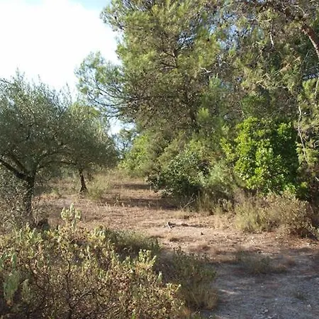 Rural Du Mas De Coste * Cannes-et-Clairan