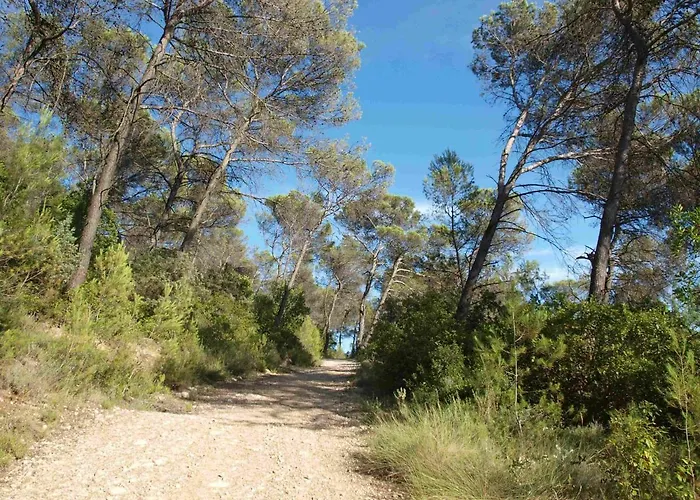 Rural Du Mas De Coste * Cannes-et-Clairan